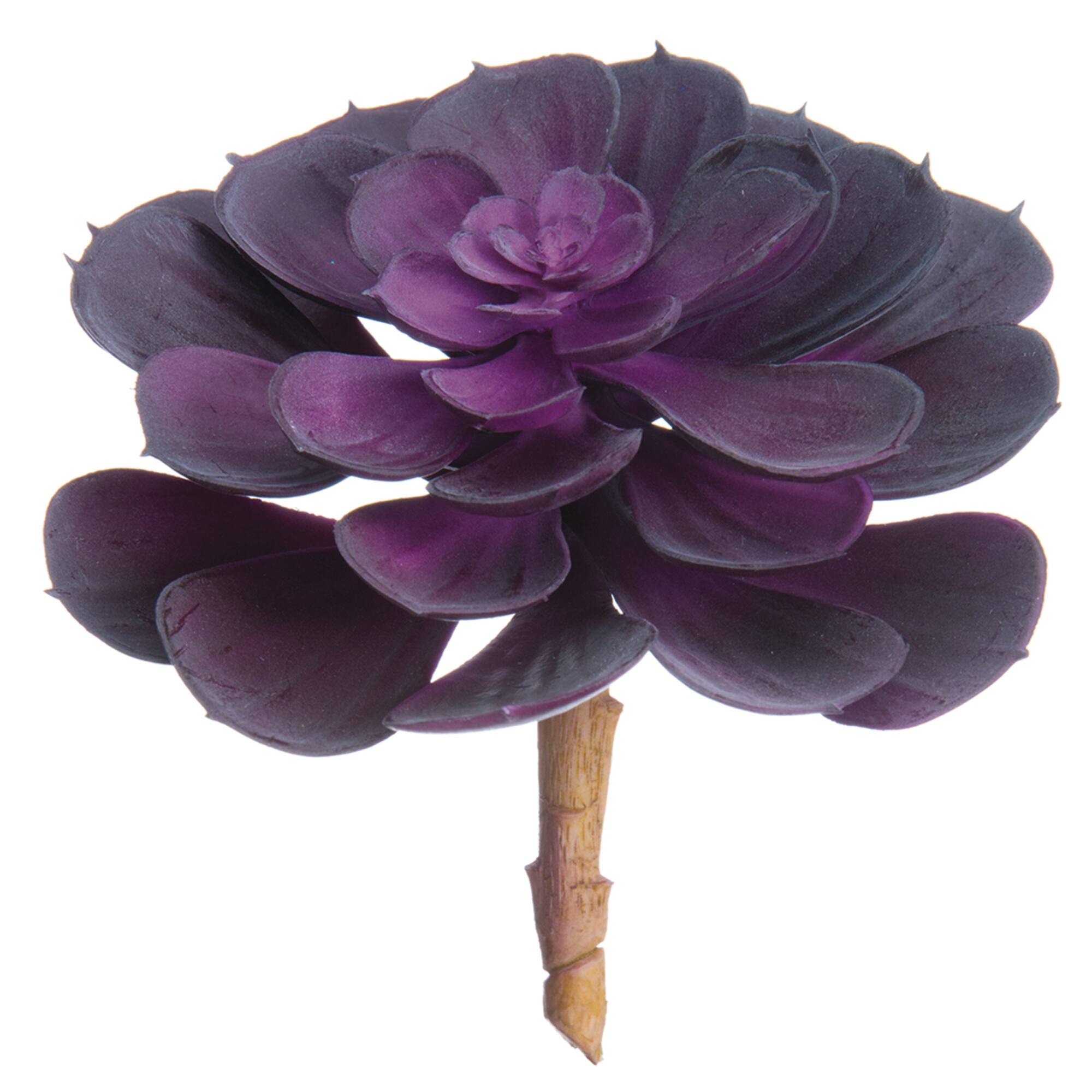 24 Pack: Soft Touch Purple Echeveria Pick